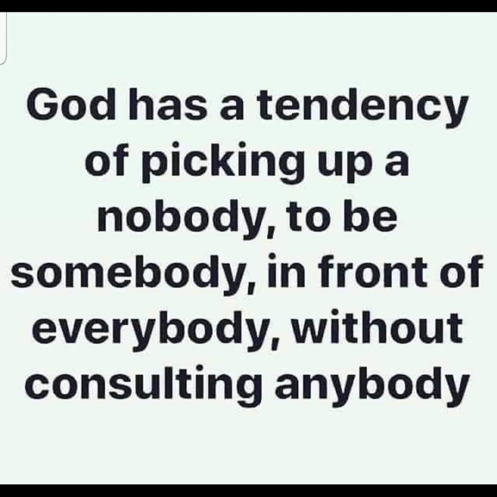 Meet your Posher, Mel